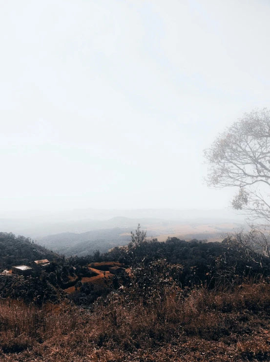 a lone tree in the distance next to the mountains