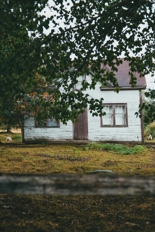 an old house in the grass with a tree