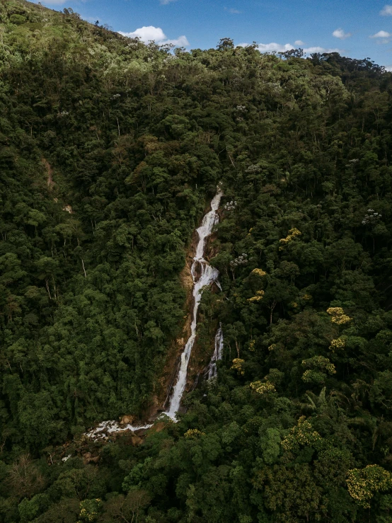 a waterfall is surrounded by dense greenery on the mountainside