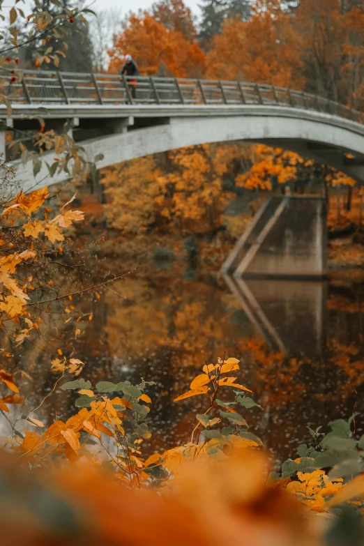 man and woman walking on the railings over a river