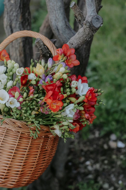 a basket of flowers in the front on a tree