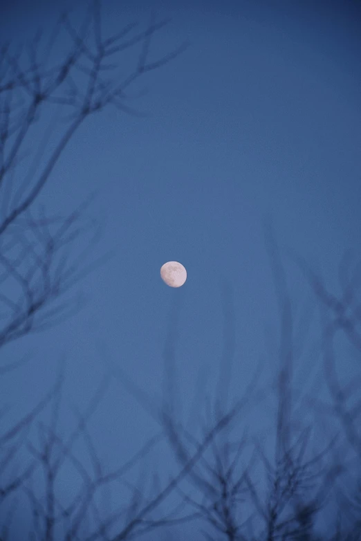 a po taken in a distance looking at a full moon