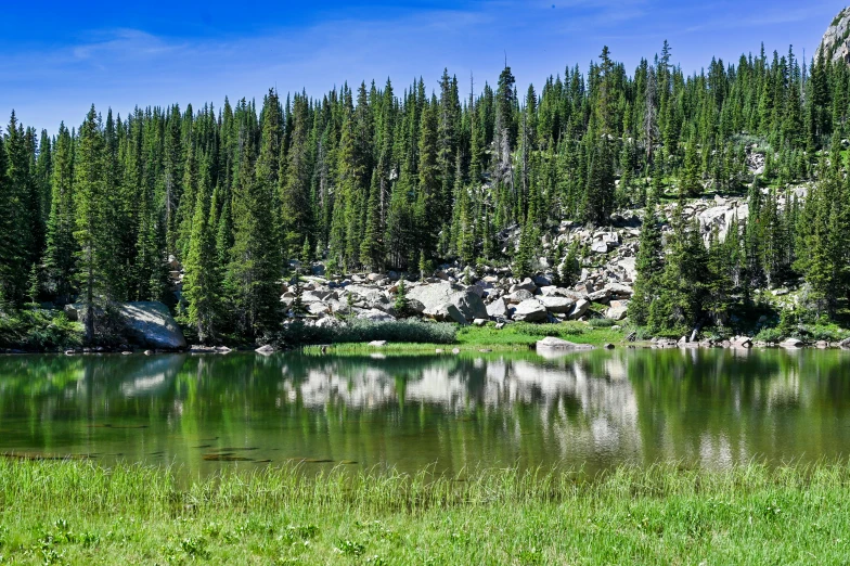 green grass, trees, and rocky mountains surround a lake
