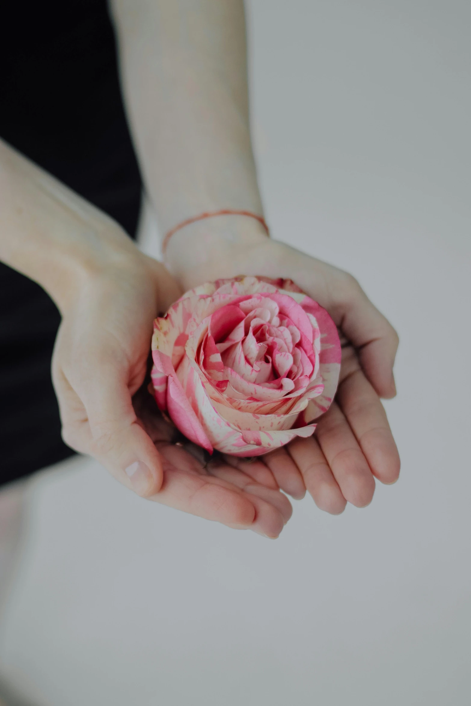 a small pink flower in a persons hand