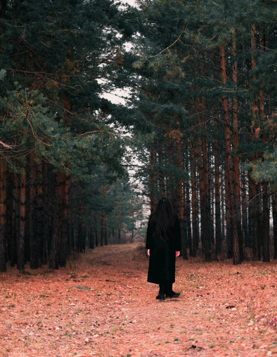 woman walking through a forest in fall colors