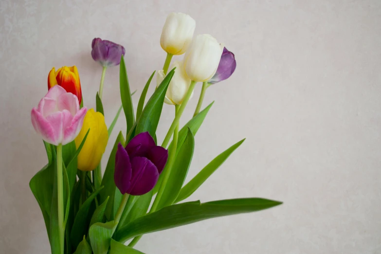 the flowers are arranged neatly in a vase