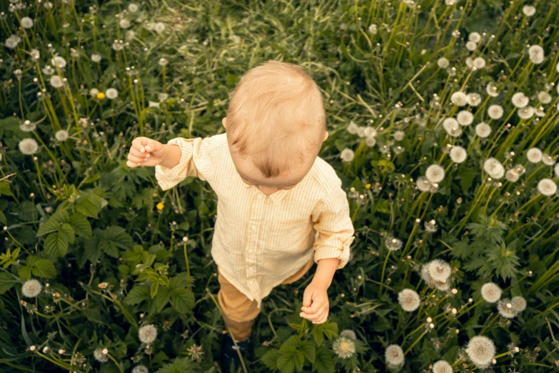 a baby in a field of grass and dandelions