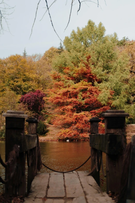 the old wooden bridge crosses over a small lake