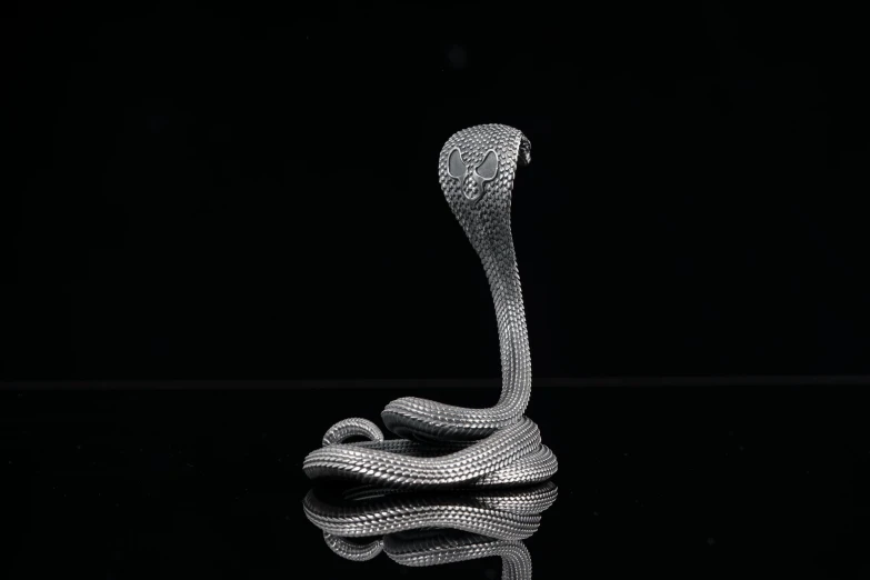 a black and white po of a very long snake