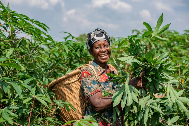 smiling woman in an african farmer's field holding his crop