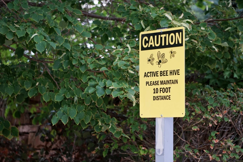 a caution sign posted on a post next to a bush