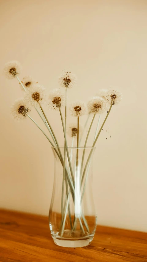 the small clear vase is holding five flowers