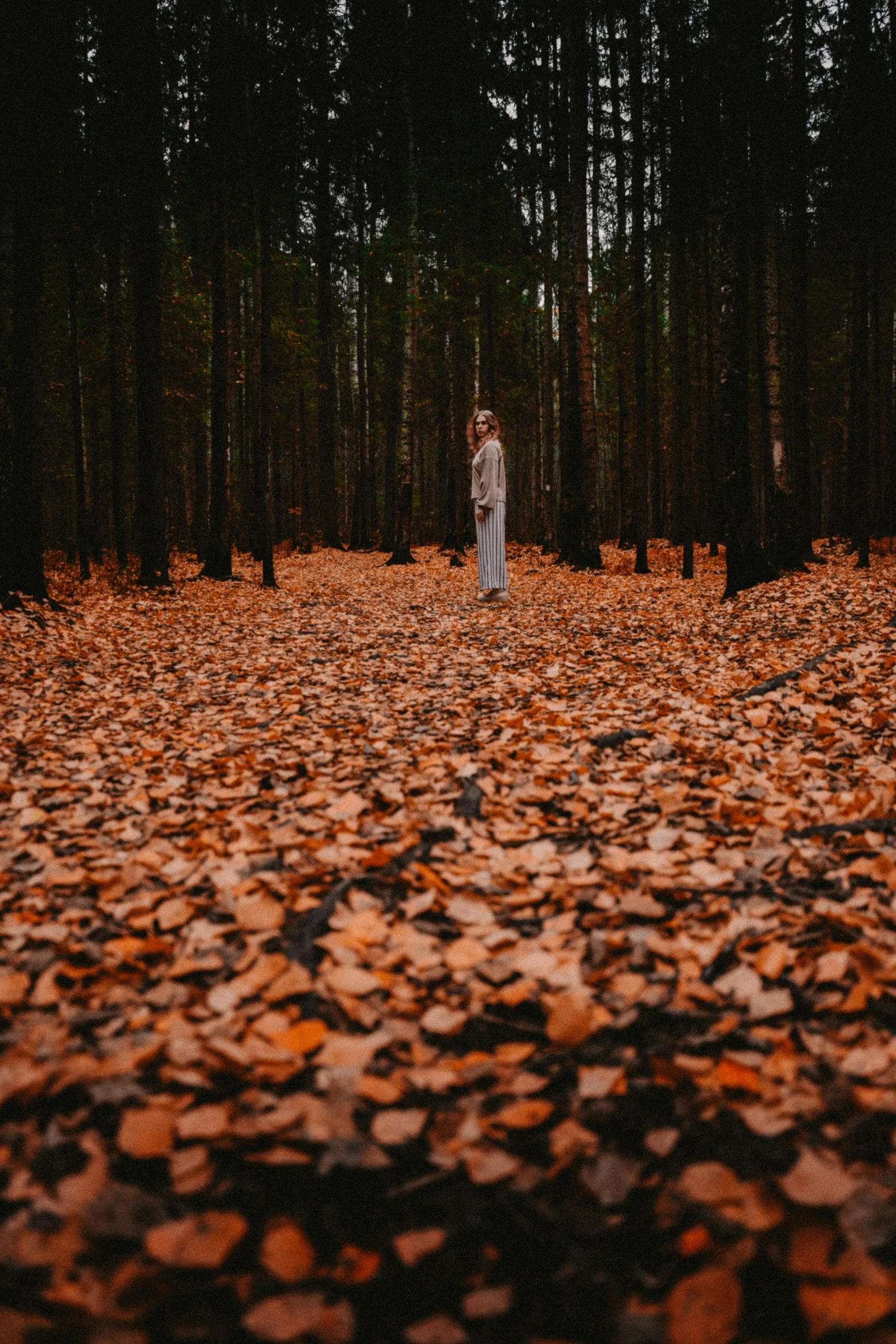 a woman standing in leaves in the woods