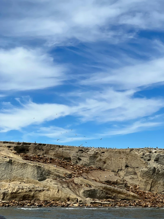 a man kiteboarding in the ocean next to a hillside