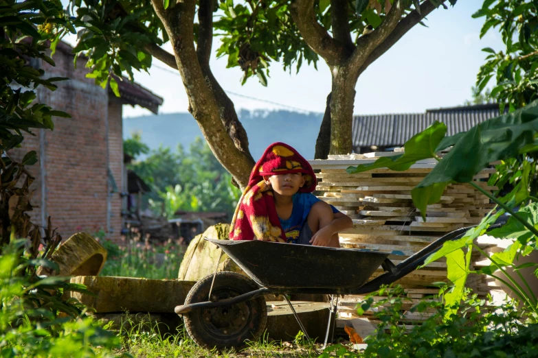 a woman sits on a wheelbarrow near a tree