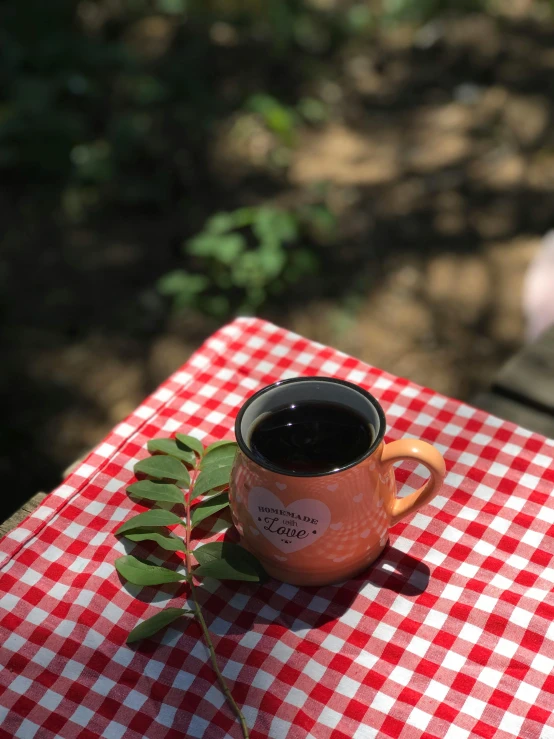 a red and white checkered tablecloth, coffee cup with a leaf sticking out of it