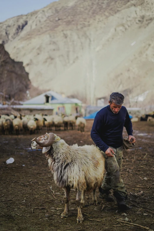 a man in a field with some animals