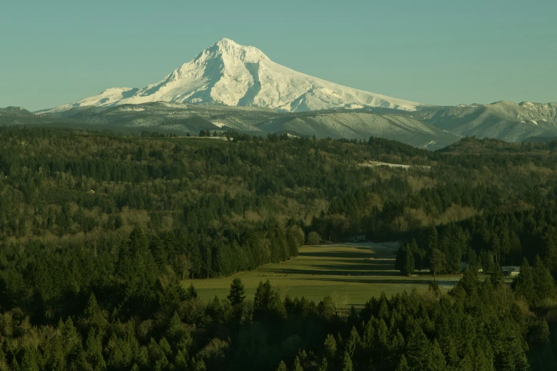 an image of the mountain side with trees and mountains in the background