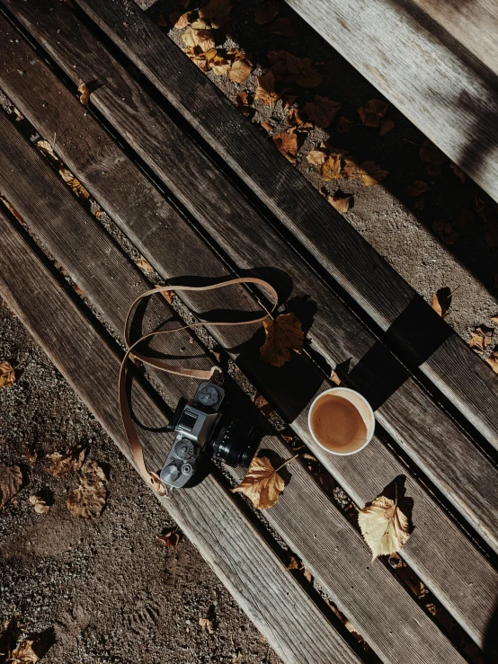 a cup on a bench with a leafy brown carpet