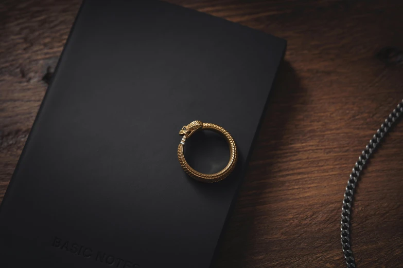 an image of a book and gold ring on the cover