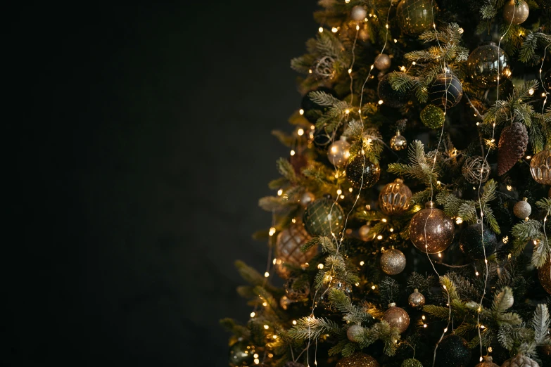 a lighted christmas tree in the dark