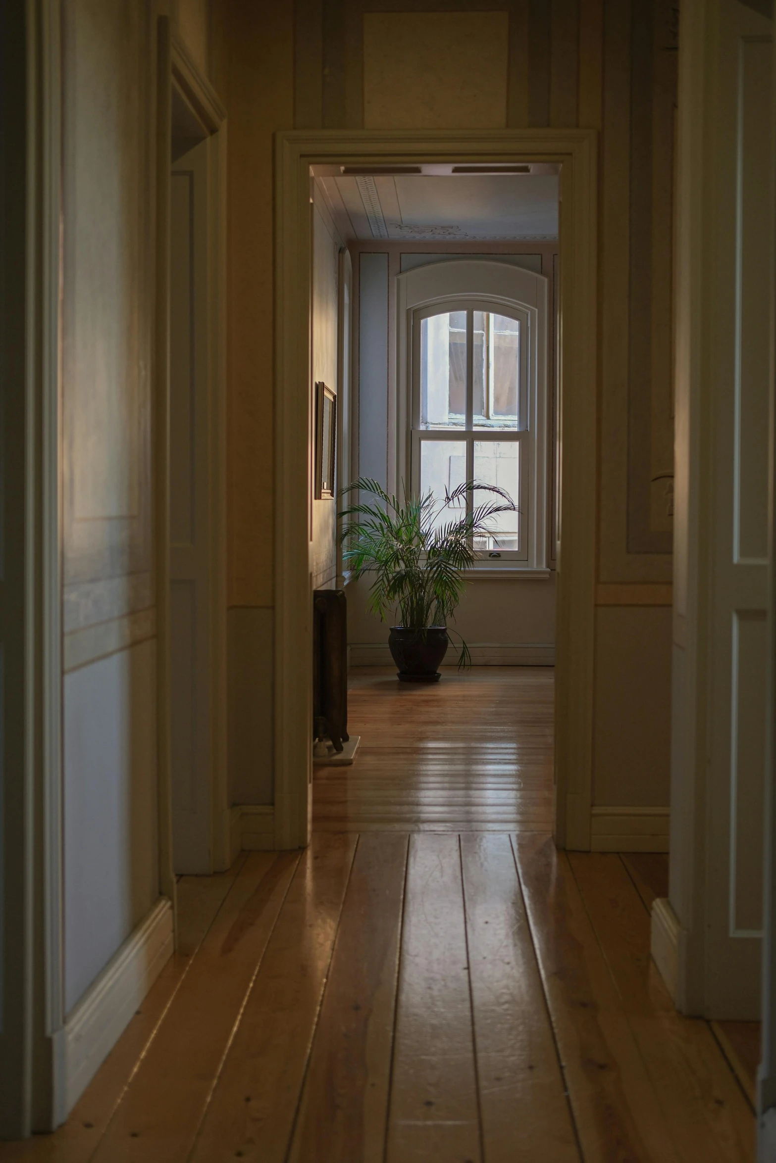 this hallway has wooden floors, with a plant in the corner