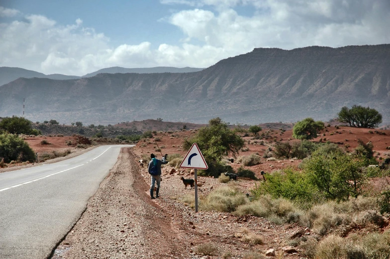 man walking dog next to a desert road