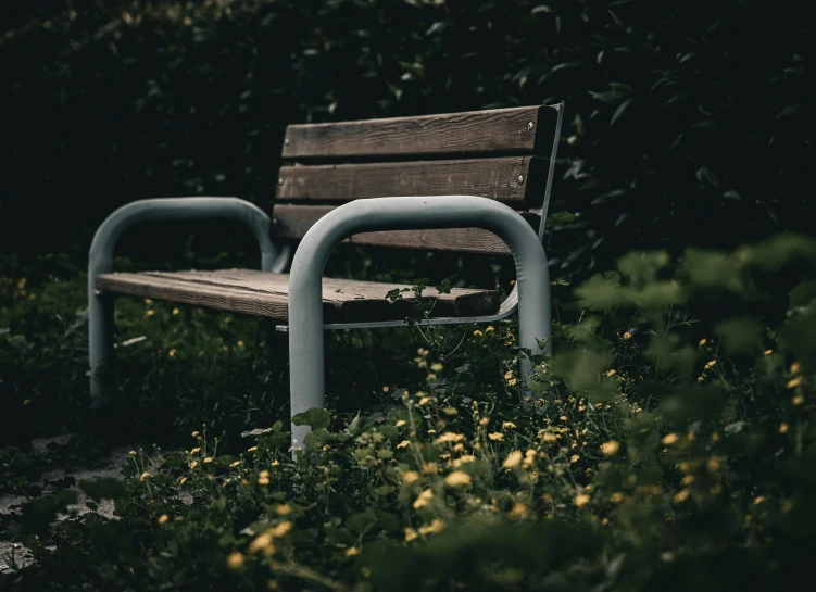 there is a bench that is in the grass