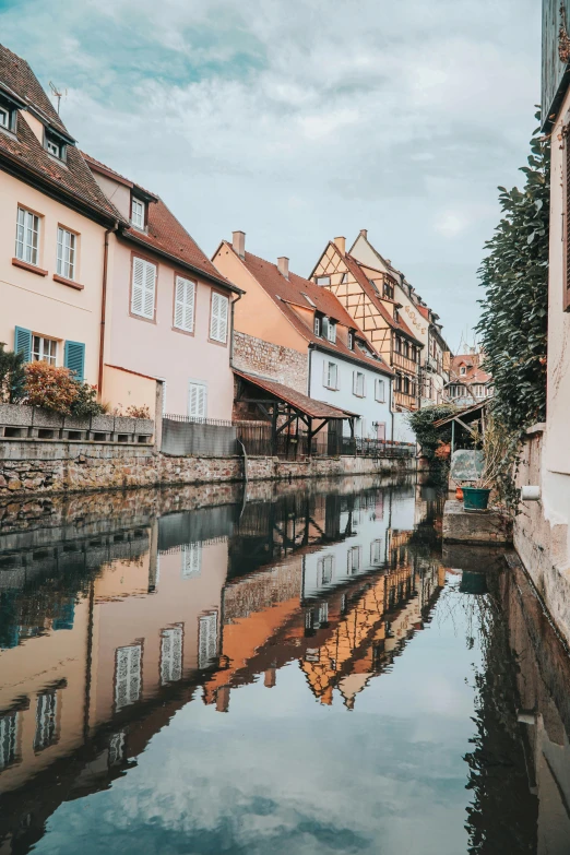 some buildings and water next to trees