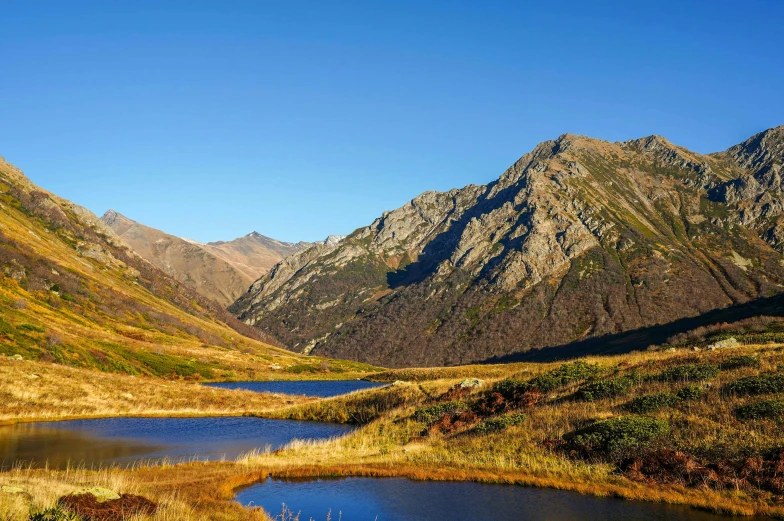 mountain range with water in the foreground and grasses on both sides