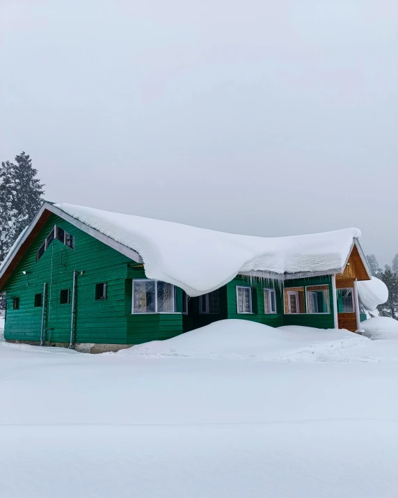 green houses stand out amongst the snow