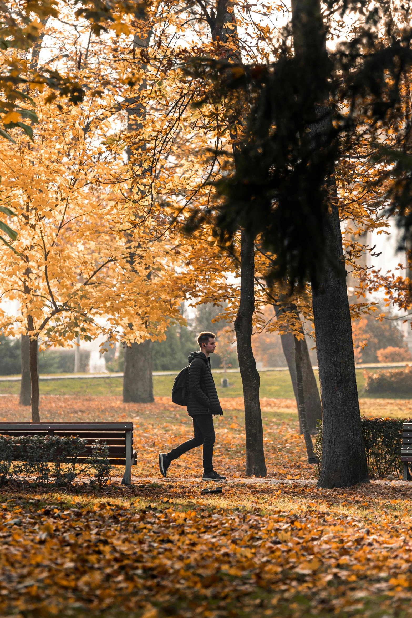 a man walking past a park bench in the autumn