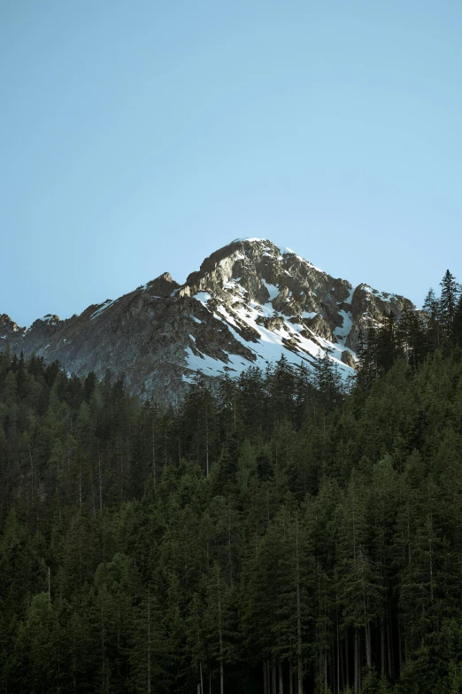 a large mountain covered in snow with trees