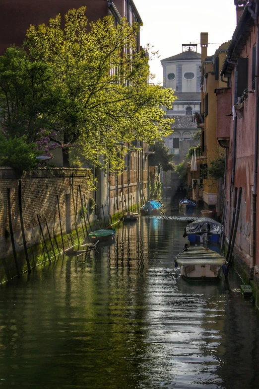 a waterway with two boats floating on it