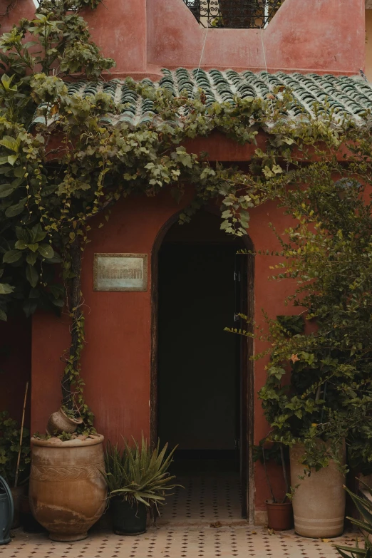 two large plant pots sitting outside of a building