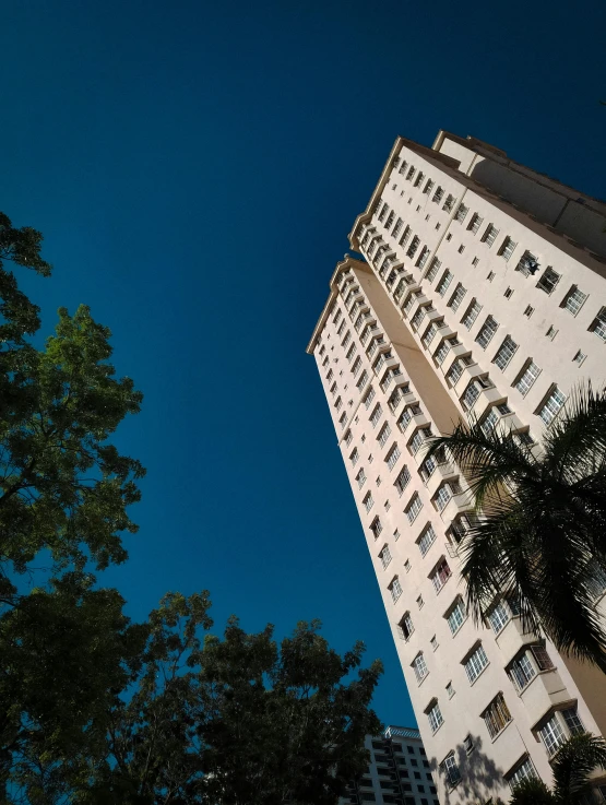 buildings, including one with many windows and the other with tall trees