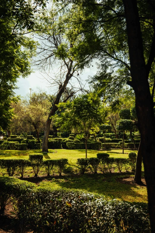 an old tea house in the middle of a tea garden