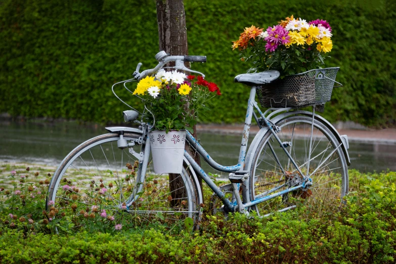 a bicycle with baskets filled with flowers stands in the grass next to a tree