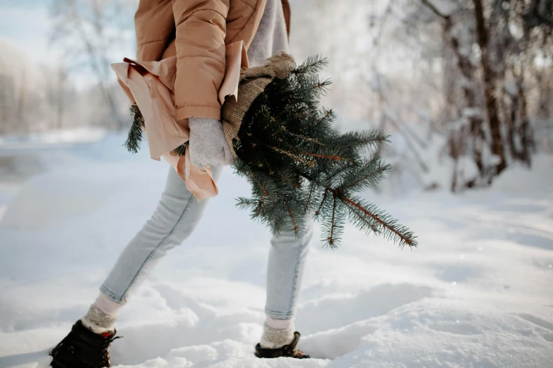  carrying a tiny tree in the snow