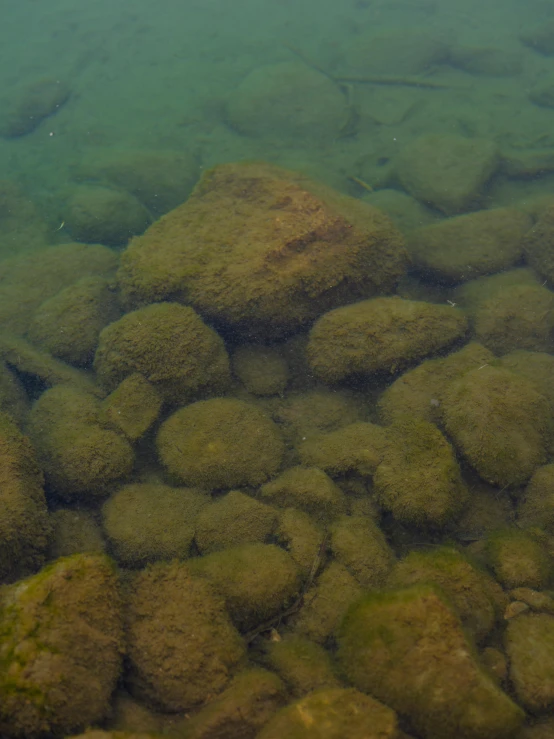 a close up of a body of water with rocks underneath