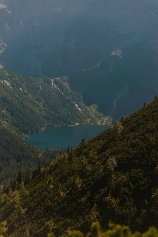 the mountains are covered with trees and a body of water