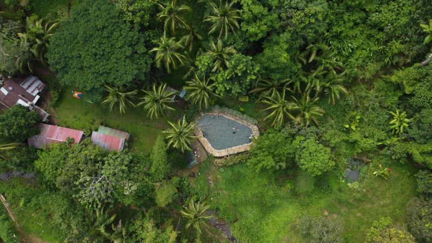 a bird - eye view of houses nestled among lush trees