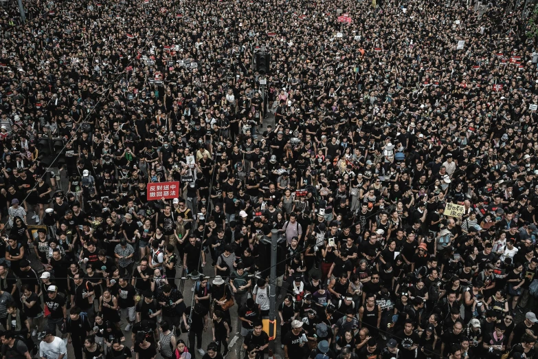 a large crowd of people gathered at a protest site