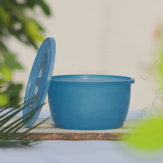 a blue bowl sits in front of a plant