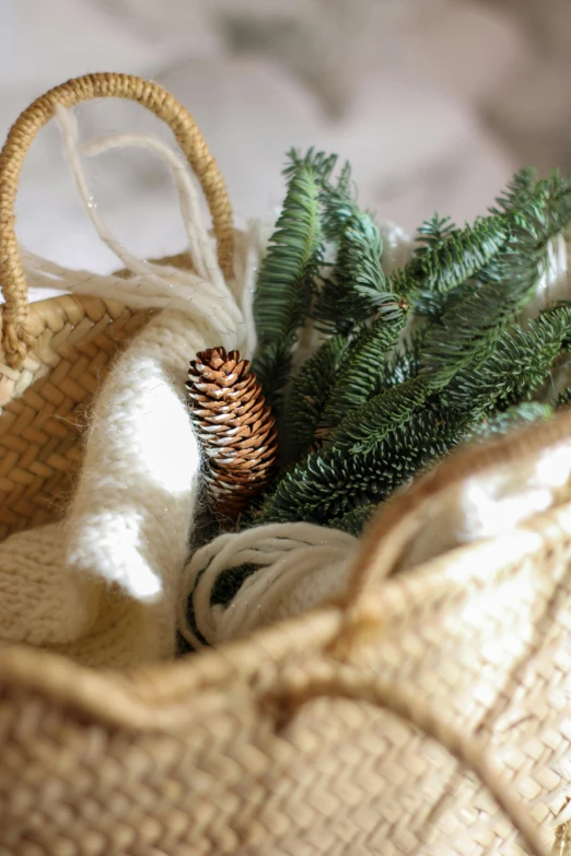 a knitted bag holding pine nches and a pine cone