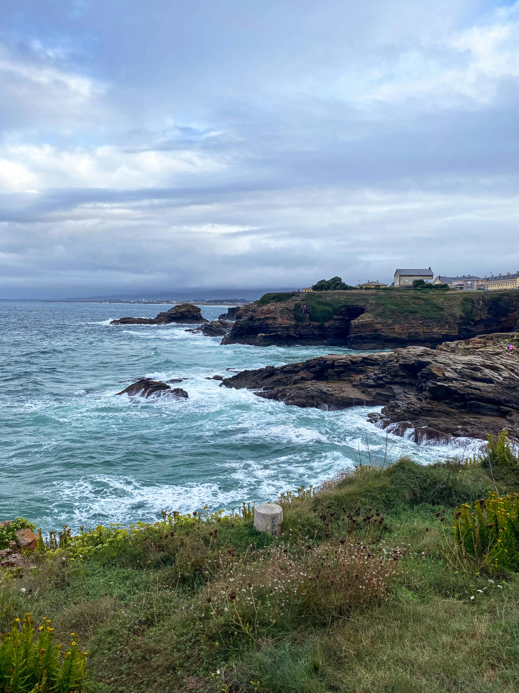 the grass and rocks on the shoreline are very rocky