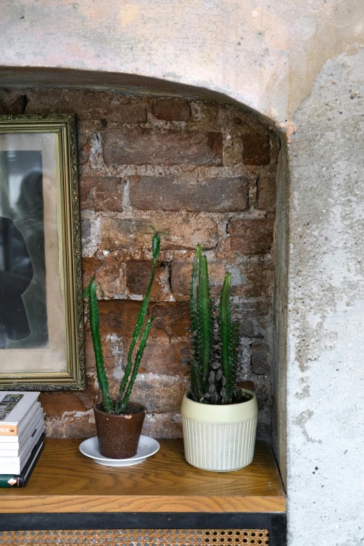 a couple of plants sit on a shelf