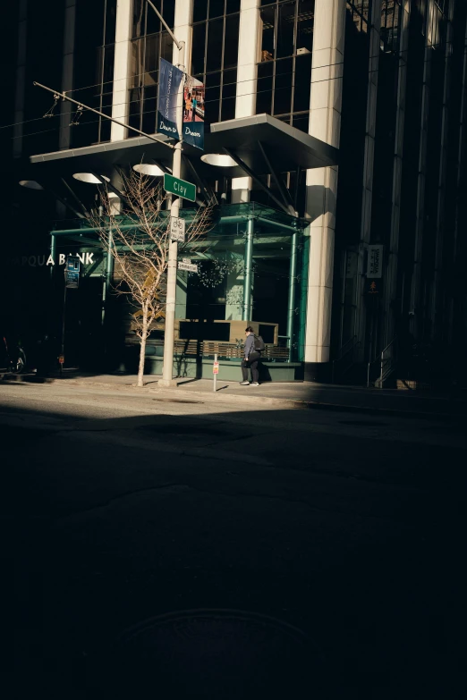 a lone tree and street sign in front of an urban building