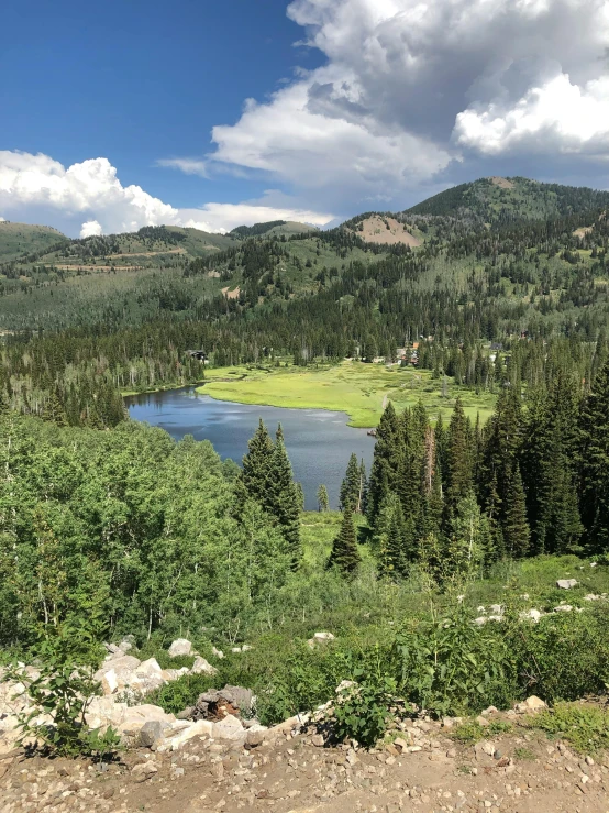 a view of some small lake in the middle of a forested area