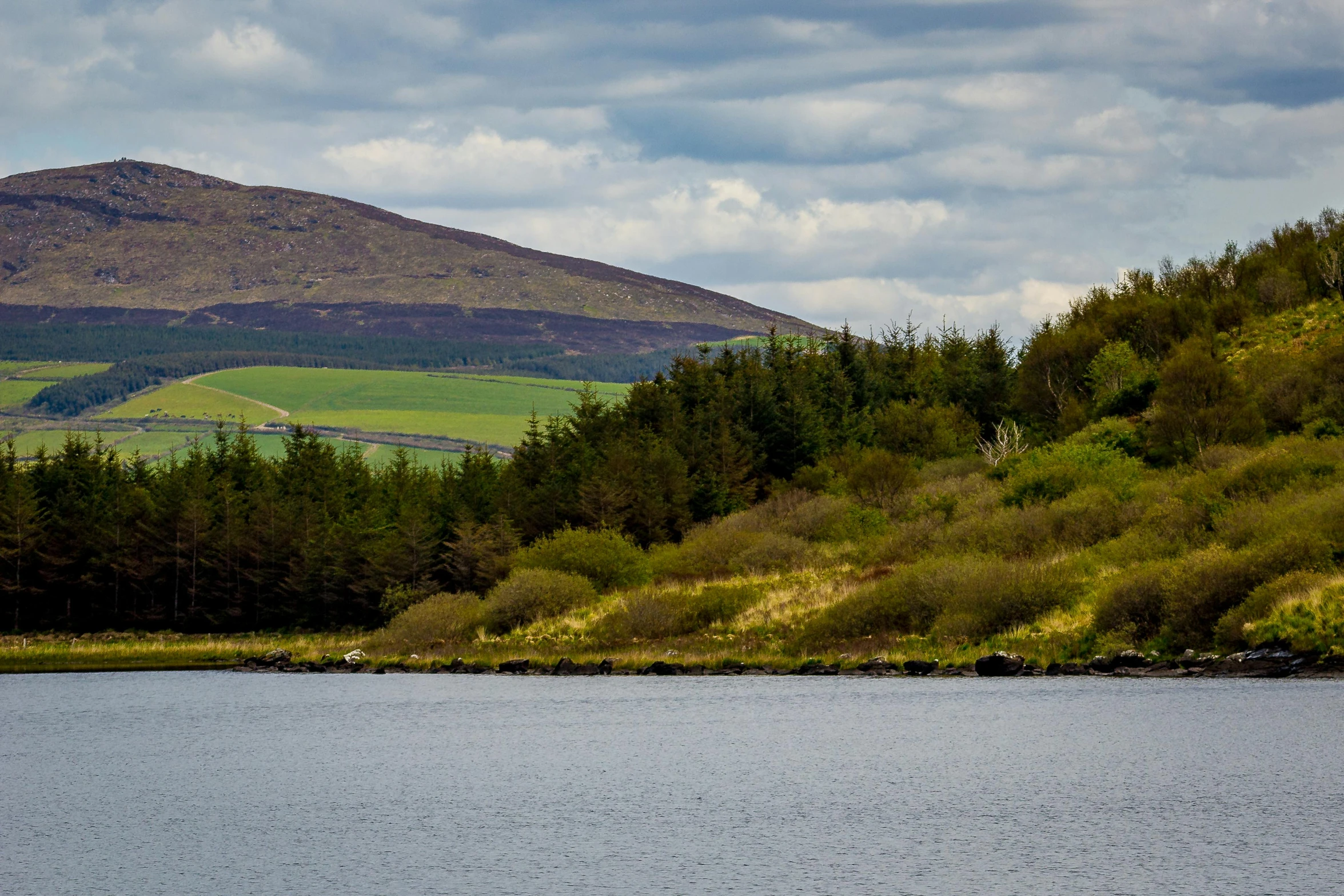 the trees and bushes are near the water